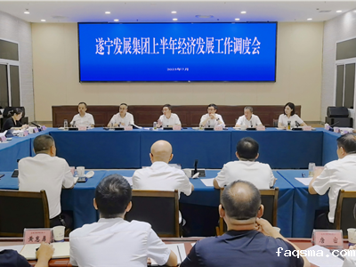 【全面落实效率革命行动】---taptap下载安装教程召开2025年上半年经济发展工作调度会