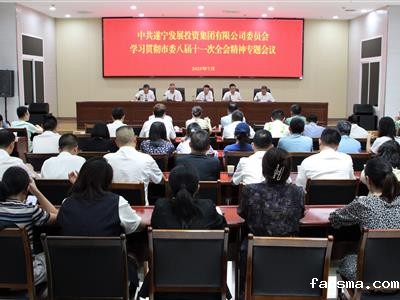 taptap下载安装教程党委学习贯彻市委八届十一次 全会精神
